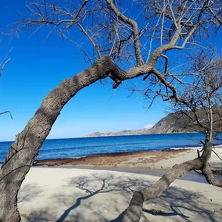 Lägenhet Vos A 3 Minutes De La *